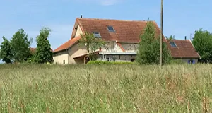 Foto - vanuit de achtertuin